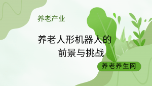 养老人形机器人的前景与挑战