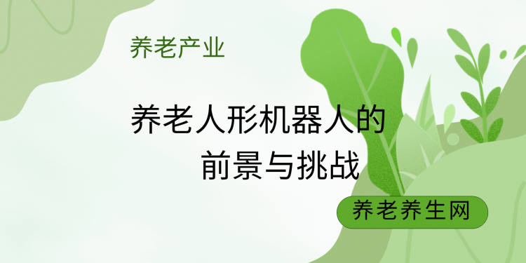 养老人形机器人的前景与挑战