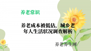 养老成本被低估，城乡老年人生活状况调查解析