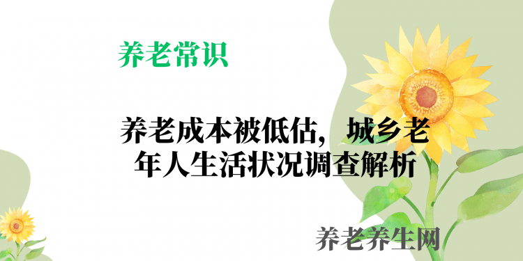 养老成本被低估，城乡老年人生活状况调查解析