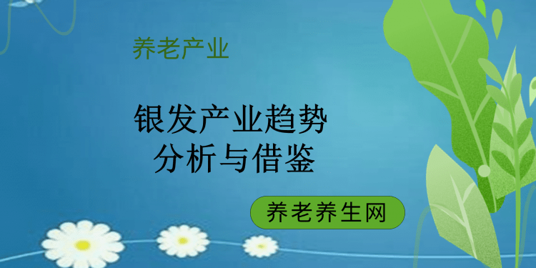 银发产业趋势 分析与借鉴