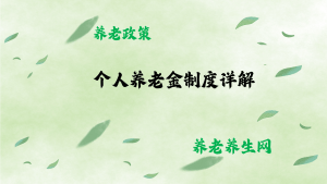 个人养老金制度详解