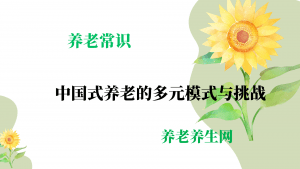 中国式养老的多元模式与挑战