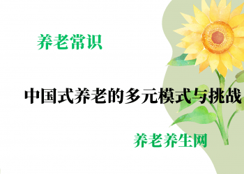 中国式养老的多元模式与挑战