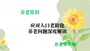 应对人口老龄化：养老问题深度解读
