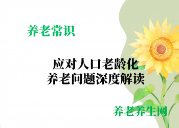 应对人口老龄化：养老问题深度解读