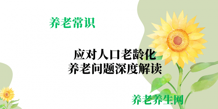应对人口老龄化：养老问题深度解读