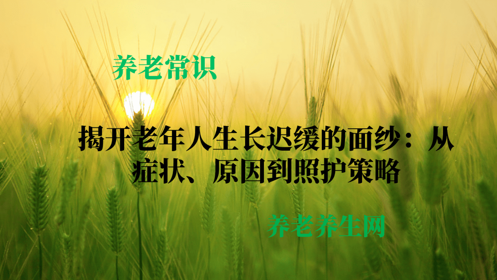 揭开老年人生长迟缓的面纱：从症状、原因到照护策略