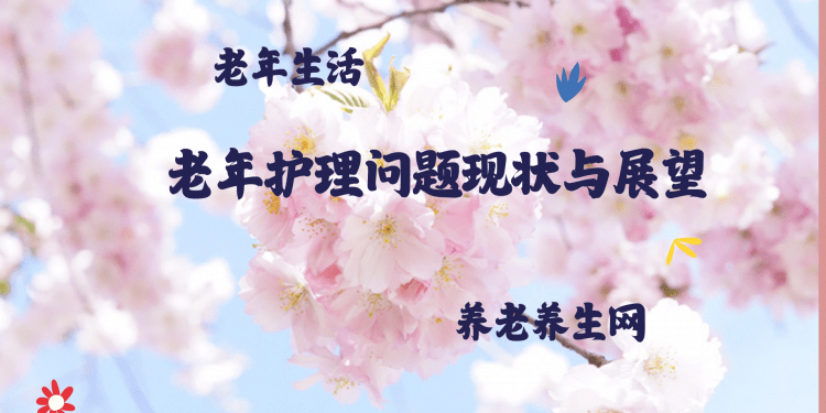 老年护理问题现状与展望