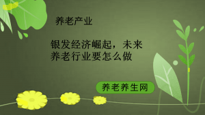 银发经济崛起，未来养老行业要怎么做
