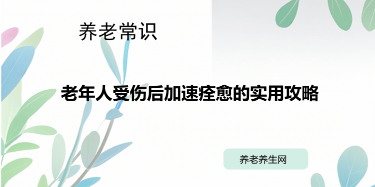 老年人受伤后加速痊愈的实用攻略