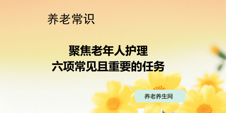 聚焦老年人护理：六项常见且重要的任务