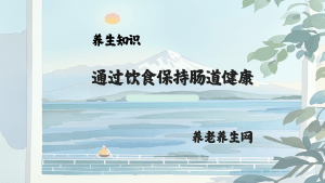 通过饮食保持肠道健康