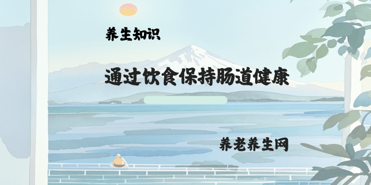 通过饮食保持肠道健康
