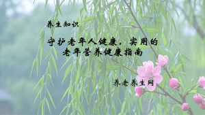 守护老年人健康，实用的老年营养健康指南