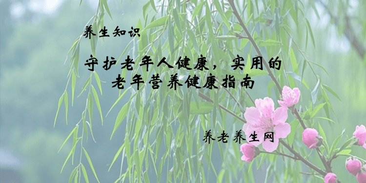 守护老年人健康，实用的老年营养健康指南