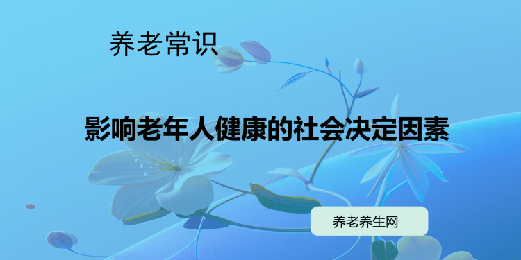 影响老年人健康的社会决定因素