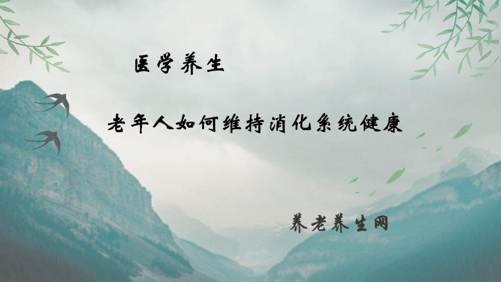 老年人如何维持消化系统健康