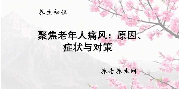 聚焦老年人痛风：原因、症状与对策