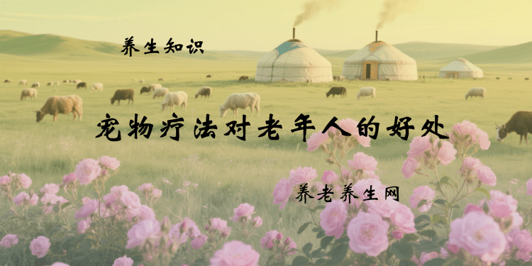 宠物疗法对老年人的好处