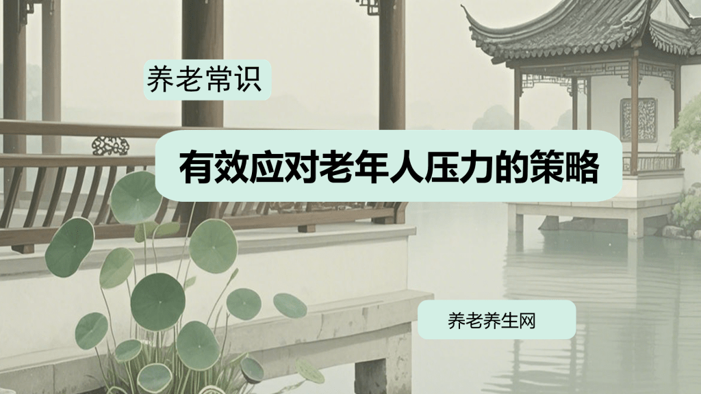 有效应对老年人压力的策略