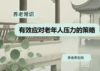 有效应对老年人压力的策略