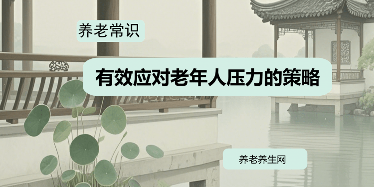 有效应对老年人压力的策略