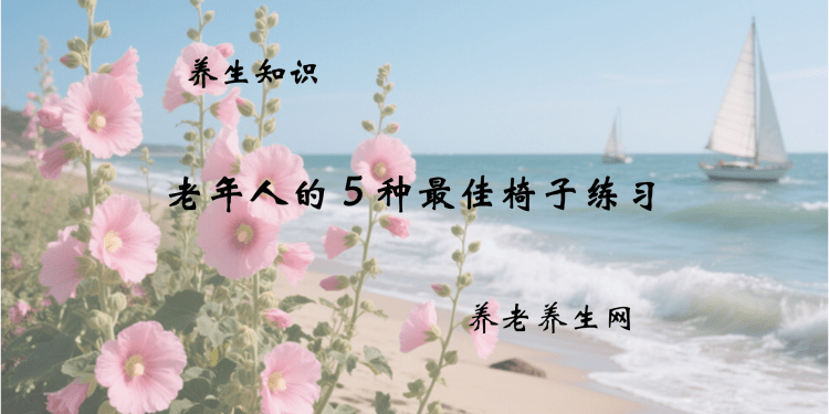 老年人的 5 种最佳椅子练习