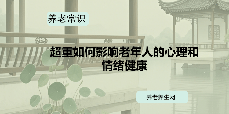 超重如何影响老年人的心理和情绪健康