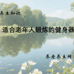 适合老年人锻炼的健身器材