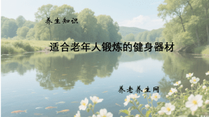 适合老年人锻炼的健身器材