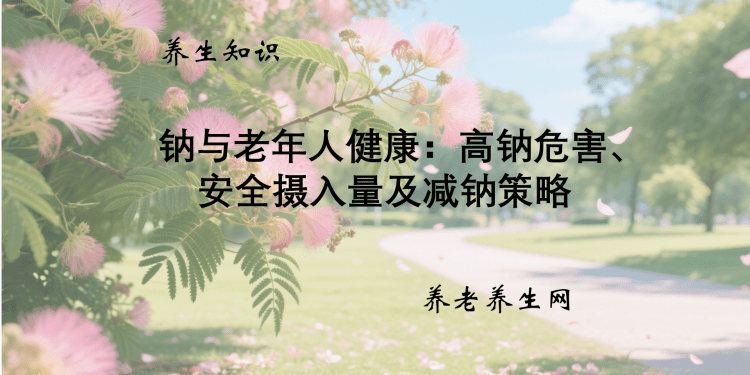 钠与老年人健康：高钠危害、安全摄入量及减钠策略