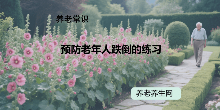 预防老年人跌倒的练习