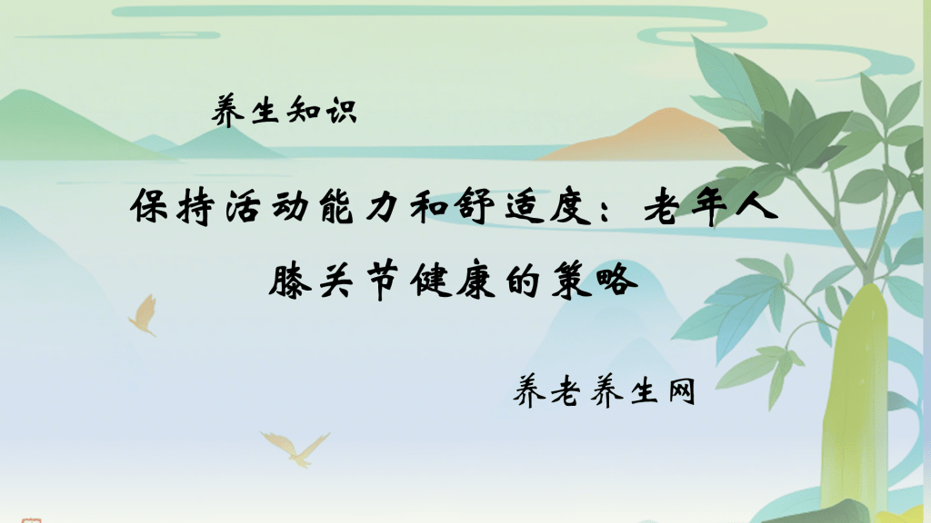 保持活动能力和舒适度：老年人膝关节健康的策略