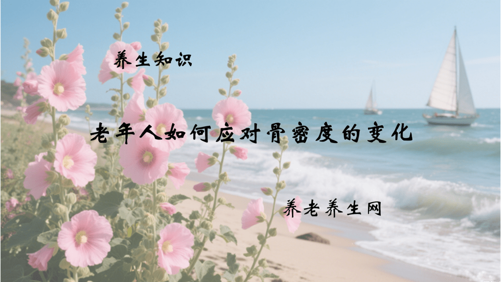 老年人如何应对骨密度的变化