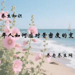 老年人如何应对骨密度的变化