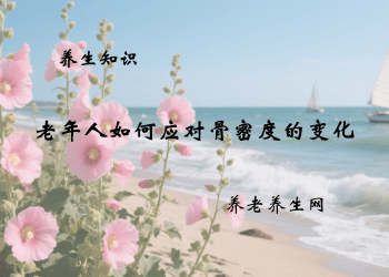 老年人如何应对骨密度的变化