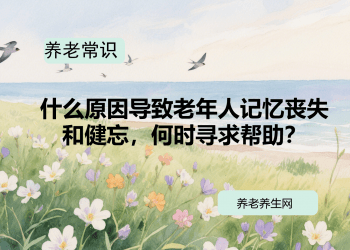 什么原因导致老年人记忆丧失和健忘，何时寻求帮助？