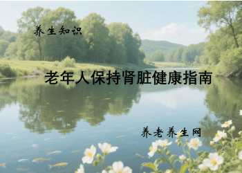 老年人保持肾脏健康指南