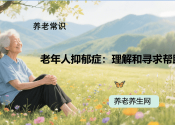 老年人抑郁症：理解和寻求帮助