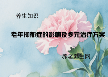 老年抑郁症的影响及多元治疗方案