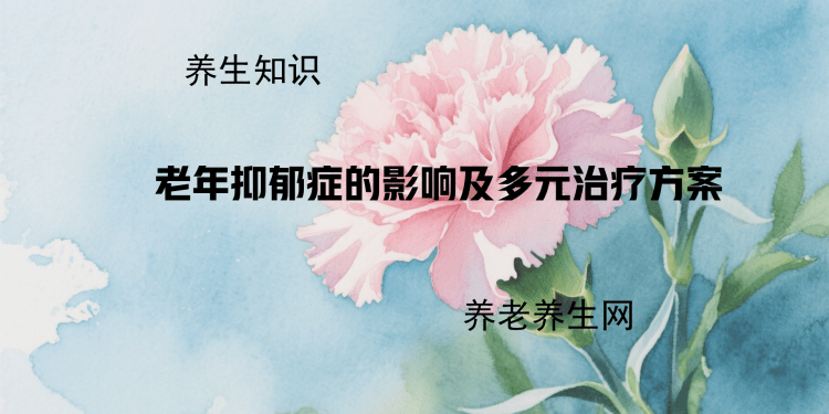 老年抑郁症的影响及多元治疗方案