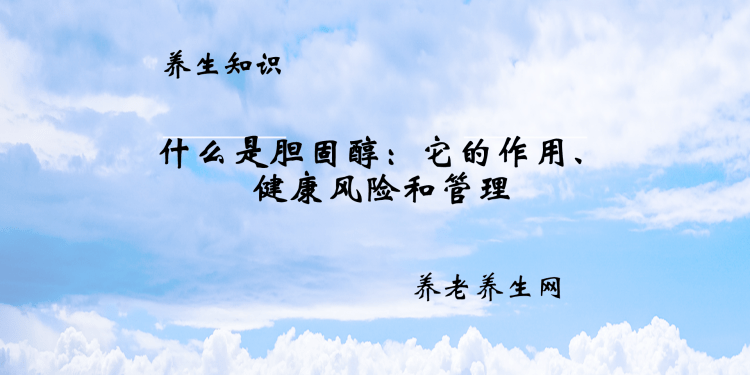 什么是胆固醇：它的作用、健康风险和管理