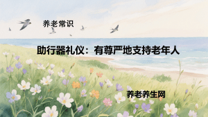 助行器礼仪：有尊严地支持老年人