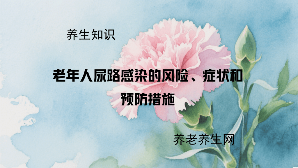 老年人尿路感染的风险、症状和预防措施