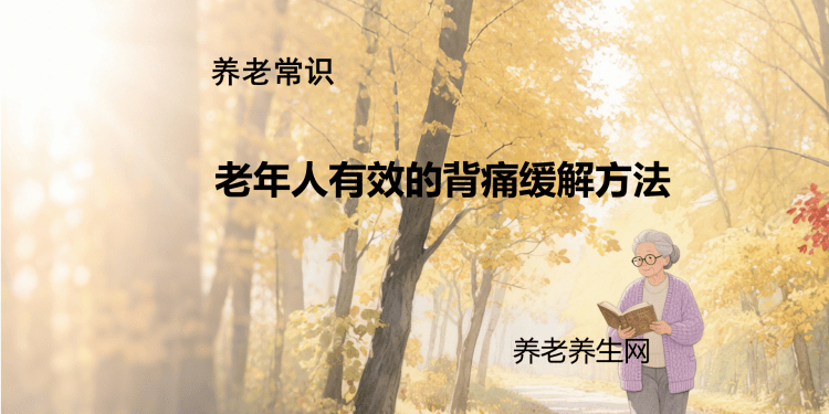 老年人有效的背痛缓解方法