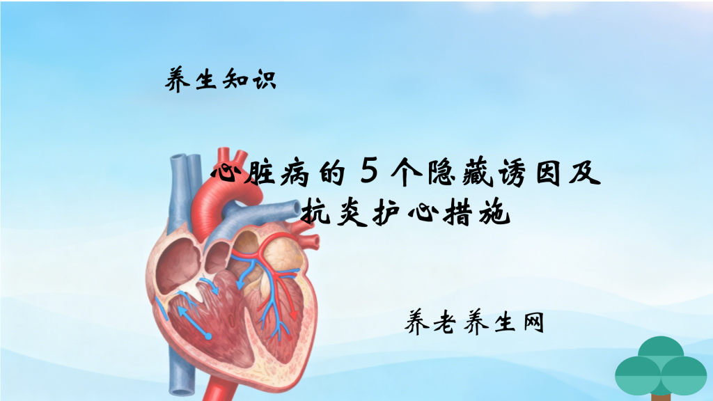 心脏病的 5 个隐藏诱因及抗炎护心措施