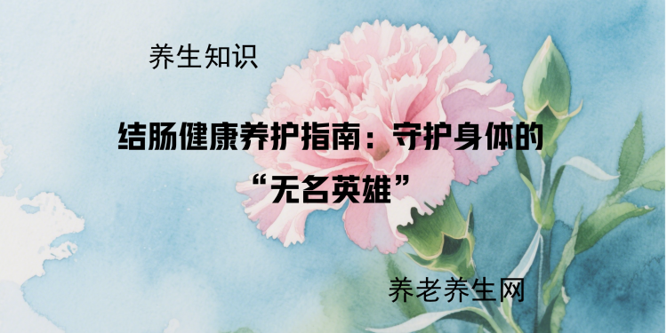 结肠健康养护指南：守护身体的 “无名英雄”