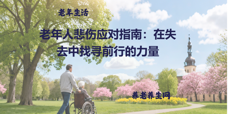 老年人悲伤应对指南：在失去中找寻前行的力量