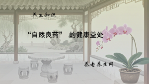 “自然良药” 的健康益处